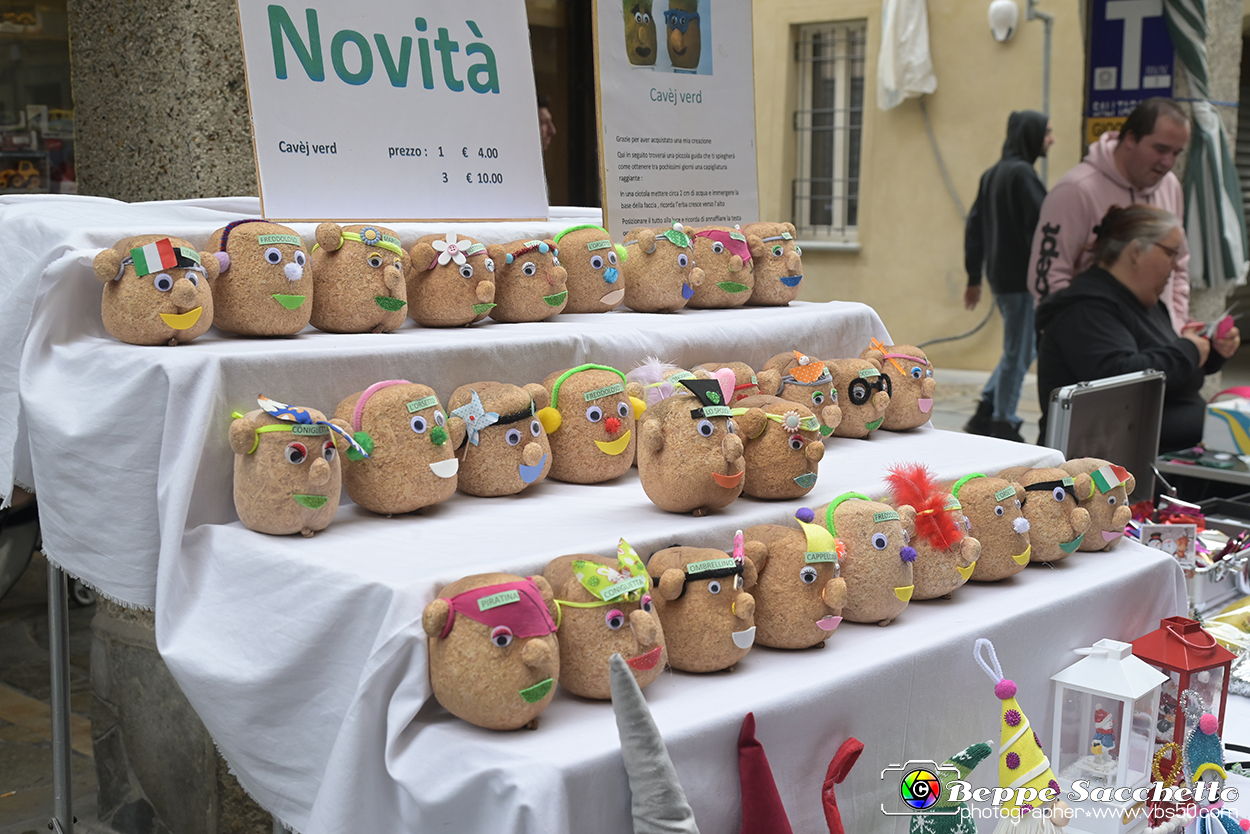 VBS_6643 - Mercatino dell'Antiquariato e dell'Hobbismo - Ottobre 2023.jpg